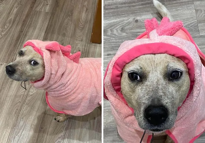 Se niega a que la sequen con toalla después del baño. Comprarle una bata de peluche con forma de dinosaurio fue mi solución.