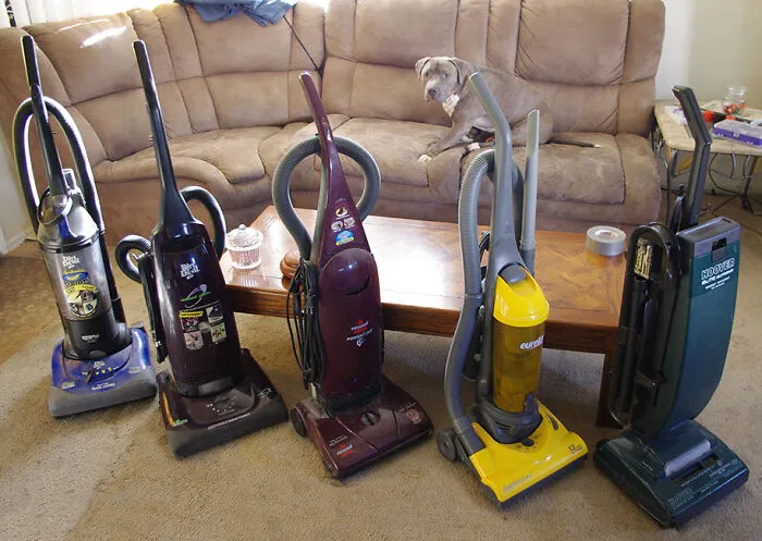 I Cleaned The Closet And Discovered My Roommate's Strange Collection. You Wouldn't Believe How Nervous The Dog Was