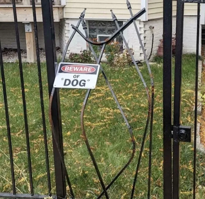 If Not Dog, Then What?