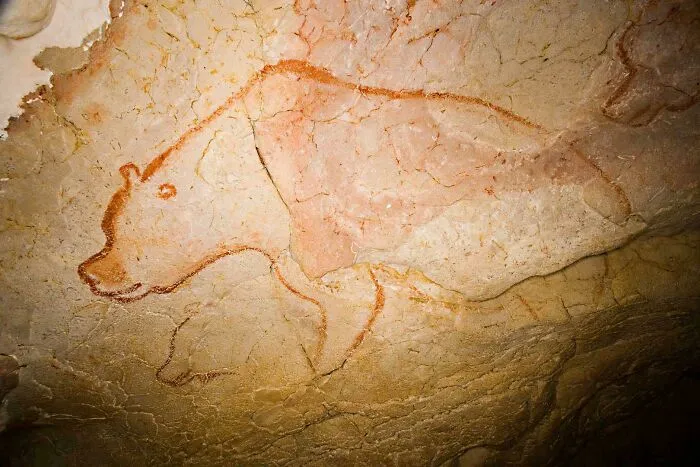 Cave wall drawing of a bear, showcasing interesting historical finds from ancient times.