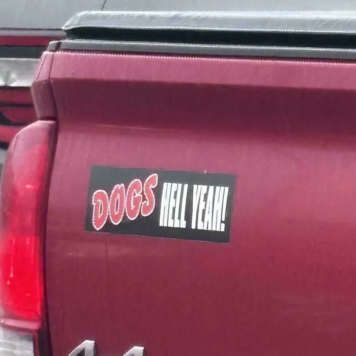 A funny bumper sticker on a red truck that says DOGS HELL YEAH! making drivers do a double take.