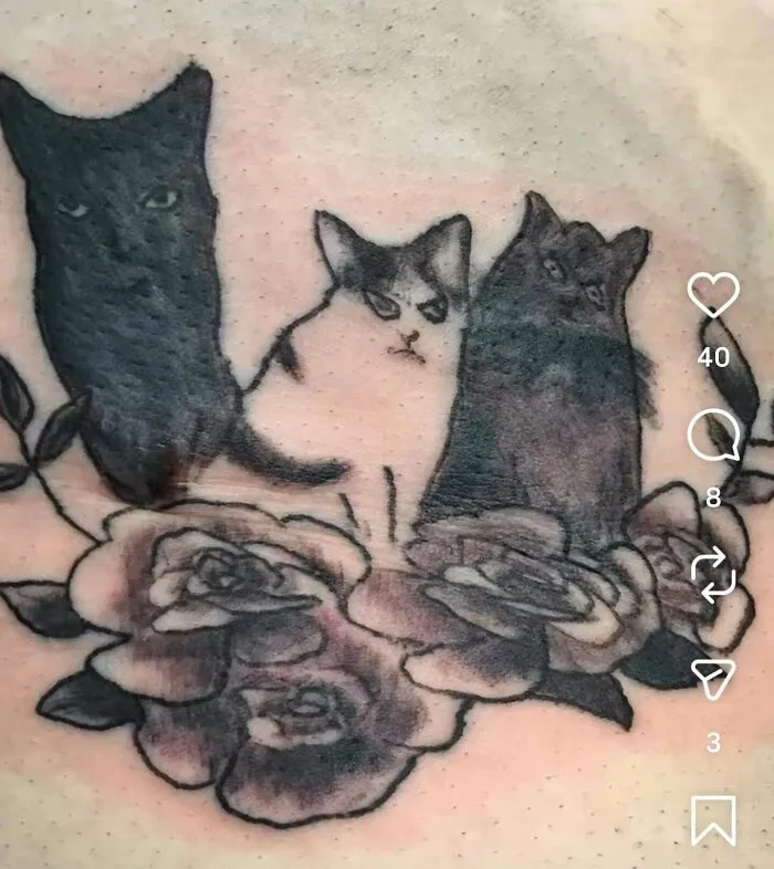 Meowwwwwwwww. I Admire His Confidence Posting It At Least