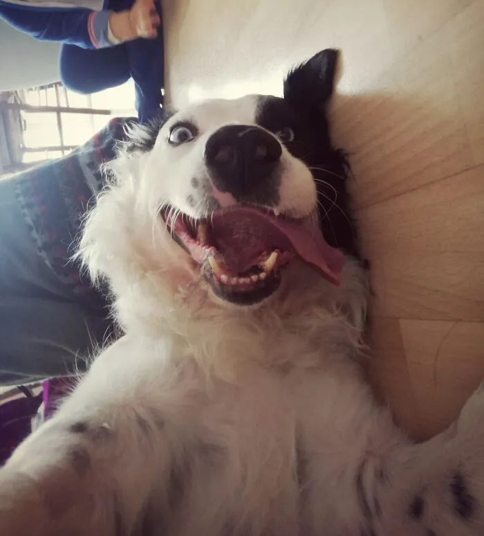 His Name Is Snow And He Does Indeed Know Absolutely Nothing