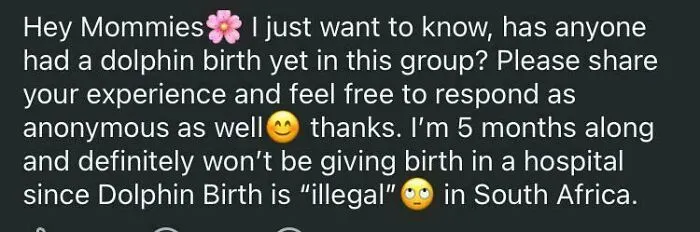 Question about dolphin birth experiences shared among mothers