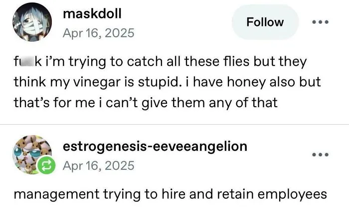Management Catching Flies
