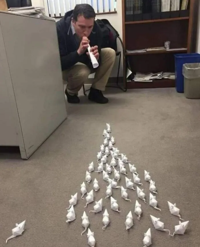 35 De las mejores imágenes que te hacen decir «hmmm»