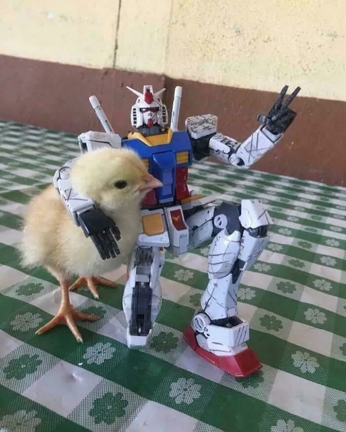 “Hmmm”: 66 Photos That We Definitely Cannot Explain But They’re Still Highly Amusing (New Pics)