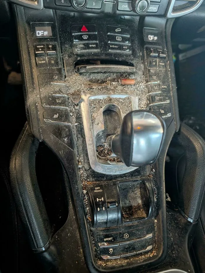 You Can Almost See Out The Windows Too