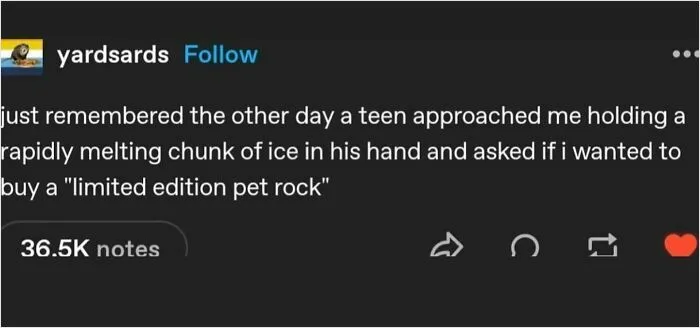 Tumblr post text about a teen selling a rapidly melting chunk of ice as a limited edition pet rock in unhinged and wild posts.