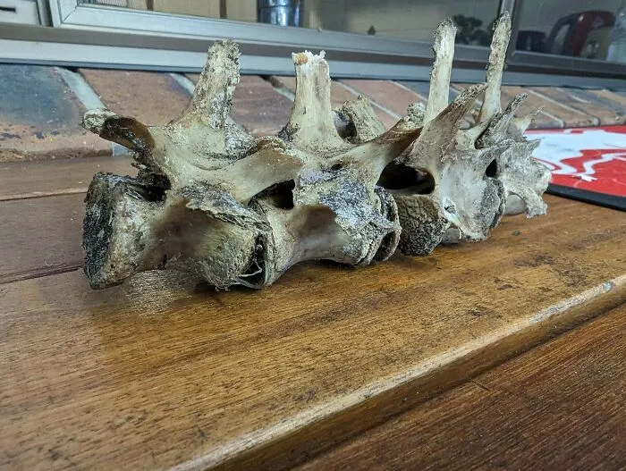 79 People Share The Strange Things Previous Owners Left Behind In Their Homes