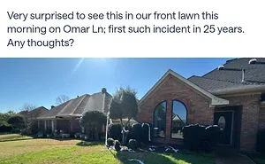 73 Wild Moments Shared From People’s Strange And Weird Neighbors On NextDoor (New Pics)