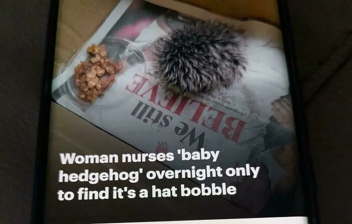 Woman Nurses 'Baby Hedgehog' Overnight Only To Find It's A Hat Bobble