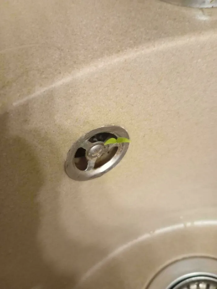 What The Hell Is It Doing In My Sink
