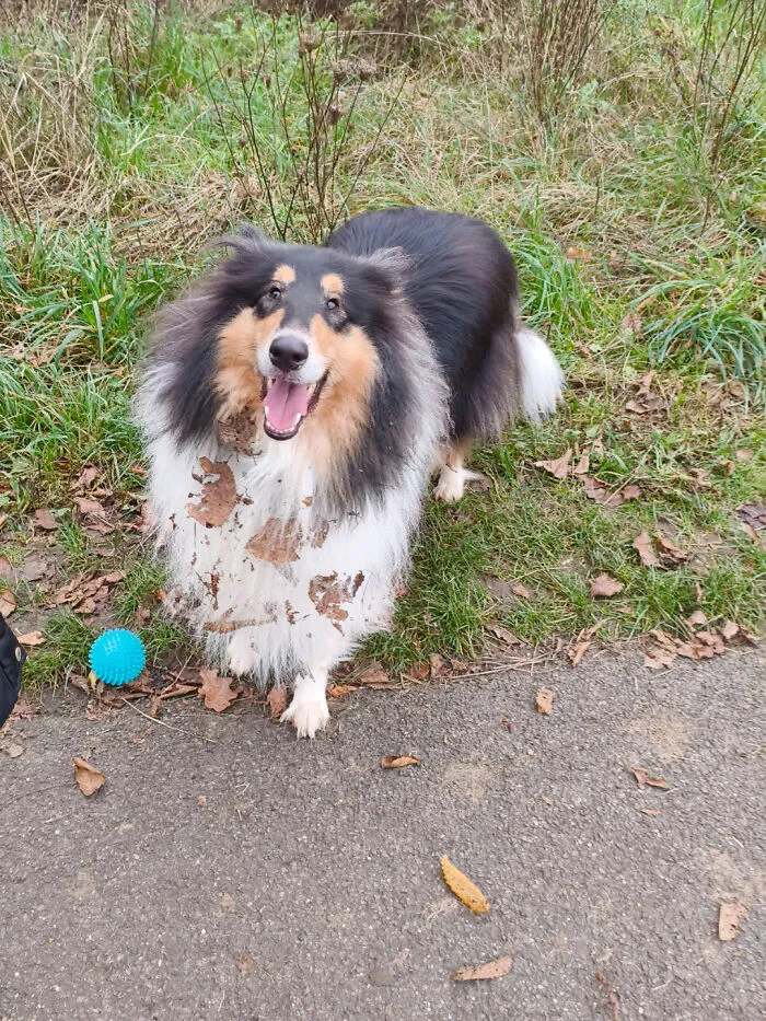 This Is My Boy, Parker. Part Time Leaf Sweeper