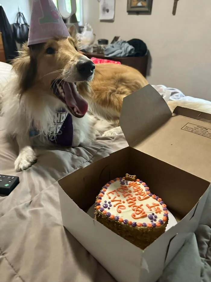 Evie’s First Birthday!