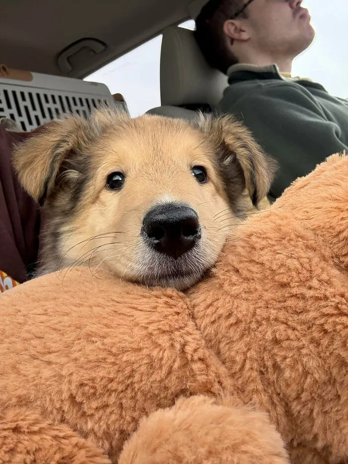 Name Decided…juniper!