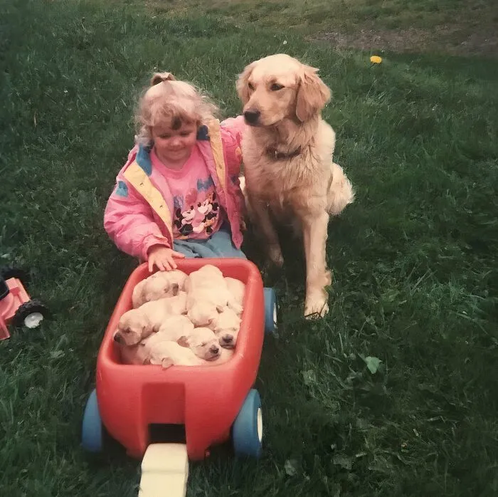 My Parents Bred Golden Retrievers When I Was A Kid, I Loved Piling Them Anywhere I Could. My Wagon, My Bed, The Laundry Basket