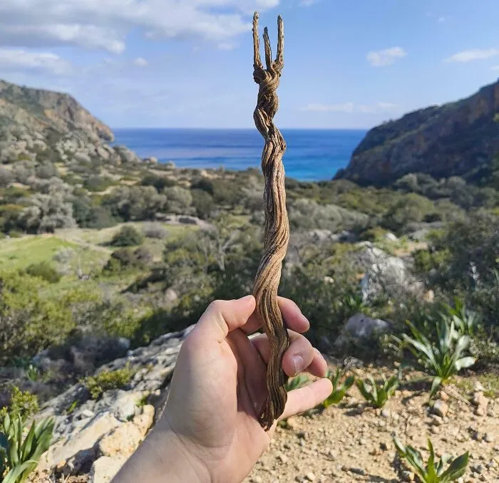 Rare Magic Stick Found In An Ancient Roman City In Greece (Lissos)