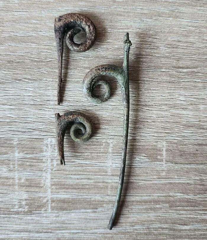 Small Twigs I Found In A Park But I Cant Seem To Find Any Google Results On Them