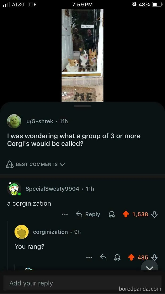 Corginization