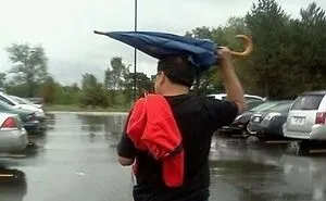 “This Is Why Shampoo Has Instructions”: Americans Keep Proving That They Can Be Even Dumber