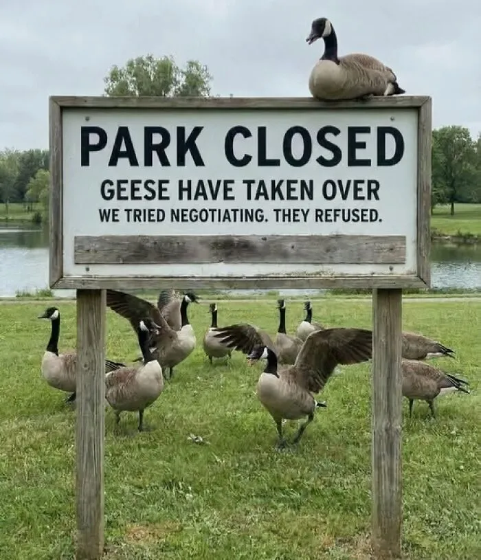 73 Hilarious And Silly Signs That Definitely Caught People’s Attention