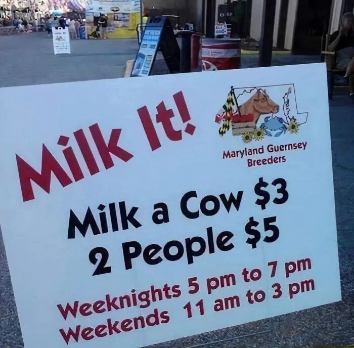 73 Hilarious And Silly Signs That Definitely Caught People’s Attention