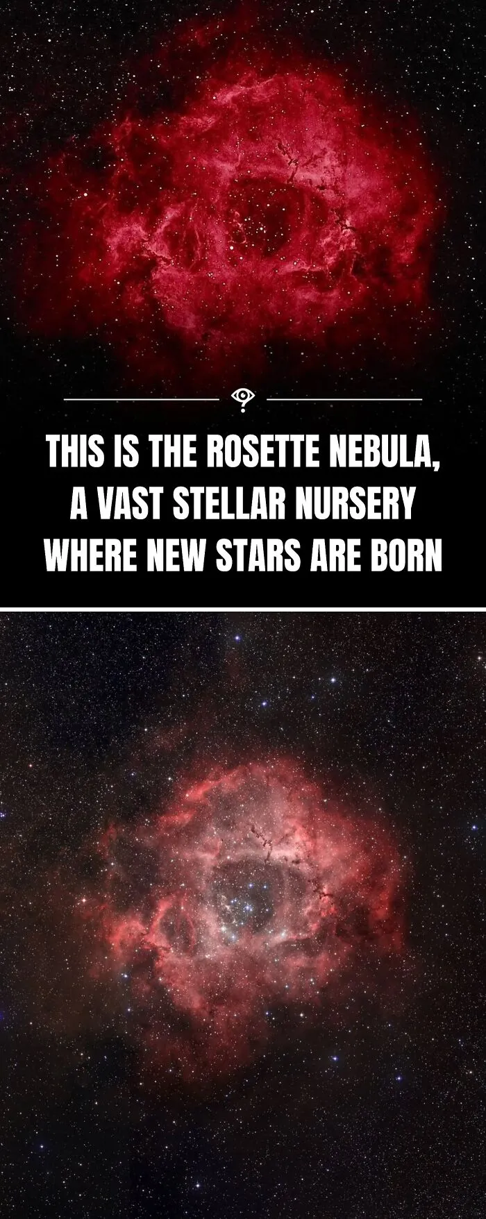 27 Scientific Facts That May Make You See The World In An Entirely Different Light