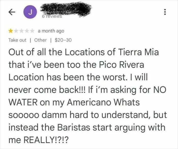 One-star delusional customer review complaining about poor service and baristas arguing over Americano order.