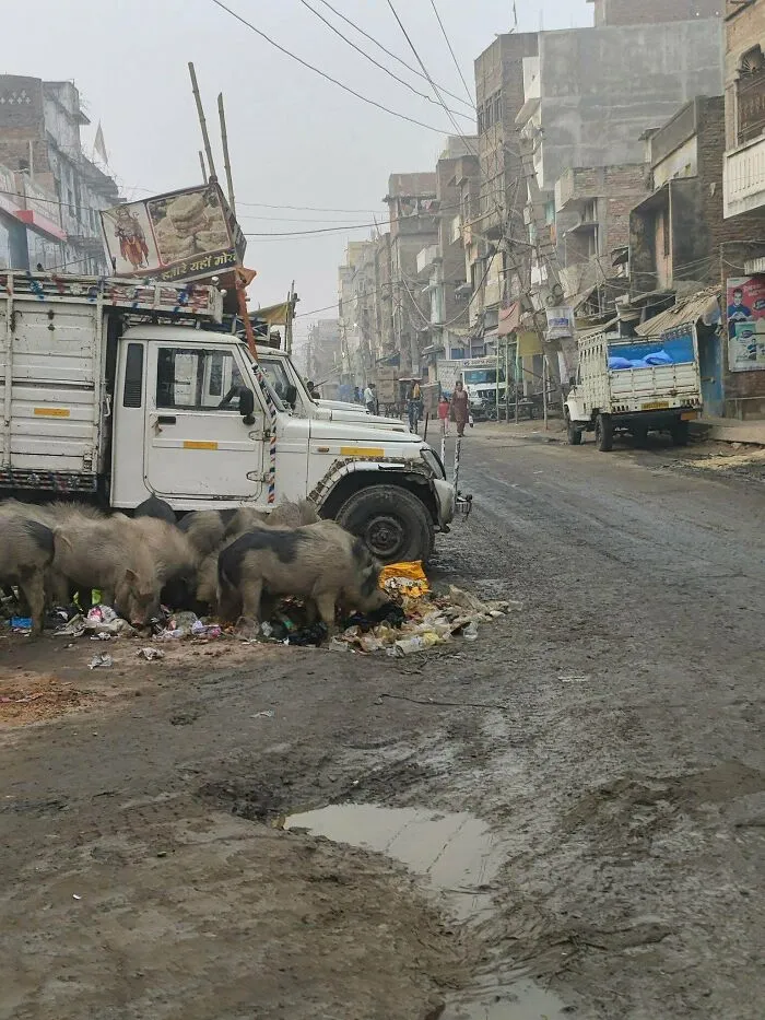 Chhapra, Bihar, India