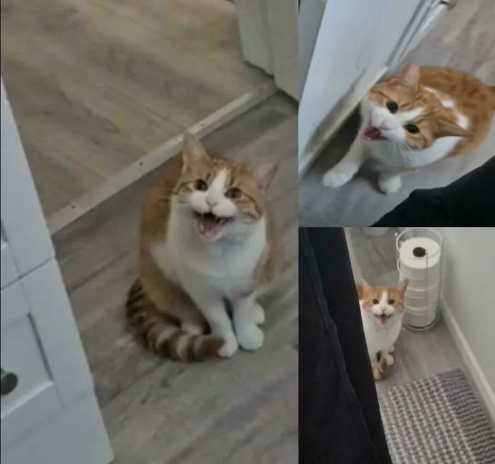 Henry Has Big Feelings About Me Taking A Shower