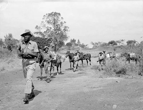 African Mau Mau Uprising fighters marching with supplies through rural terrain in Kenya during the 1950s revolt.