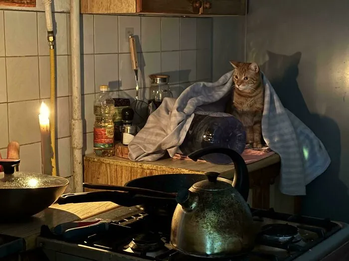 An orange cat wrapped in a blanket in a candlelit kitchen, giving an Accidental Renaissance look.