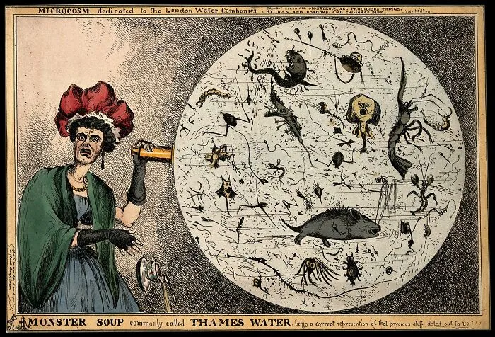 A Woman Dropping Her Porcelain Tea-Cup In Horror Upon Discovering The Monstrous Contents Of A Magnified Drop Of Thames Water; Revealing The Impurity Of London Drinking Water. Coloured Etching By W. Heath, 1828