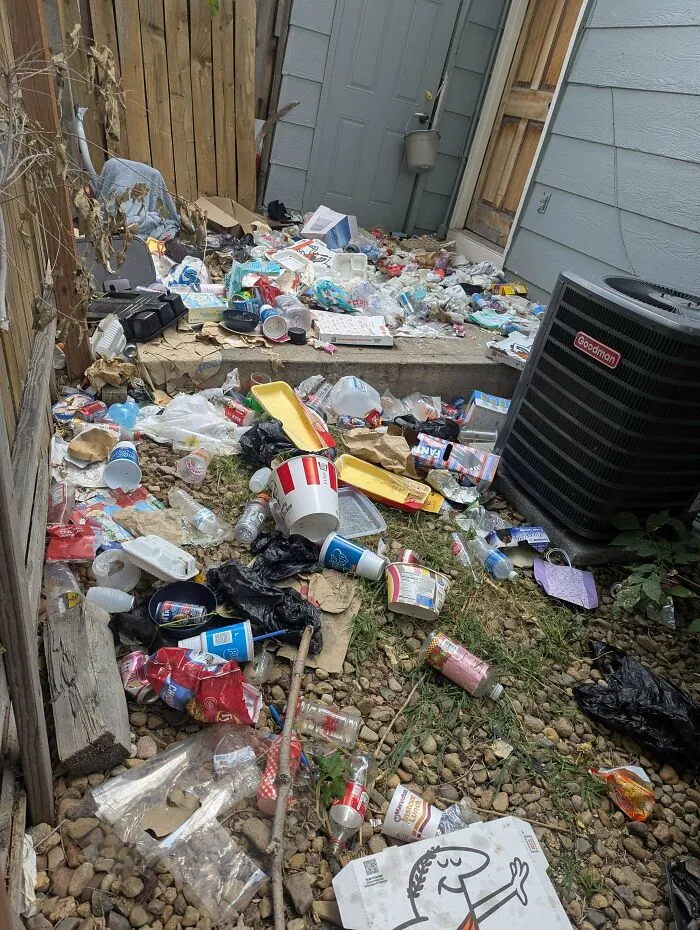 The Current State Of Our Neighbor's Back Yard