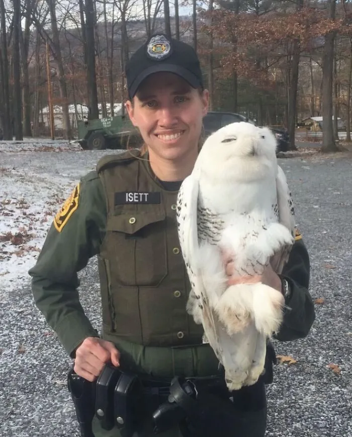 Our Officers Even Rescue Wildlife During The Holidays