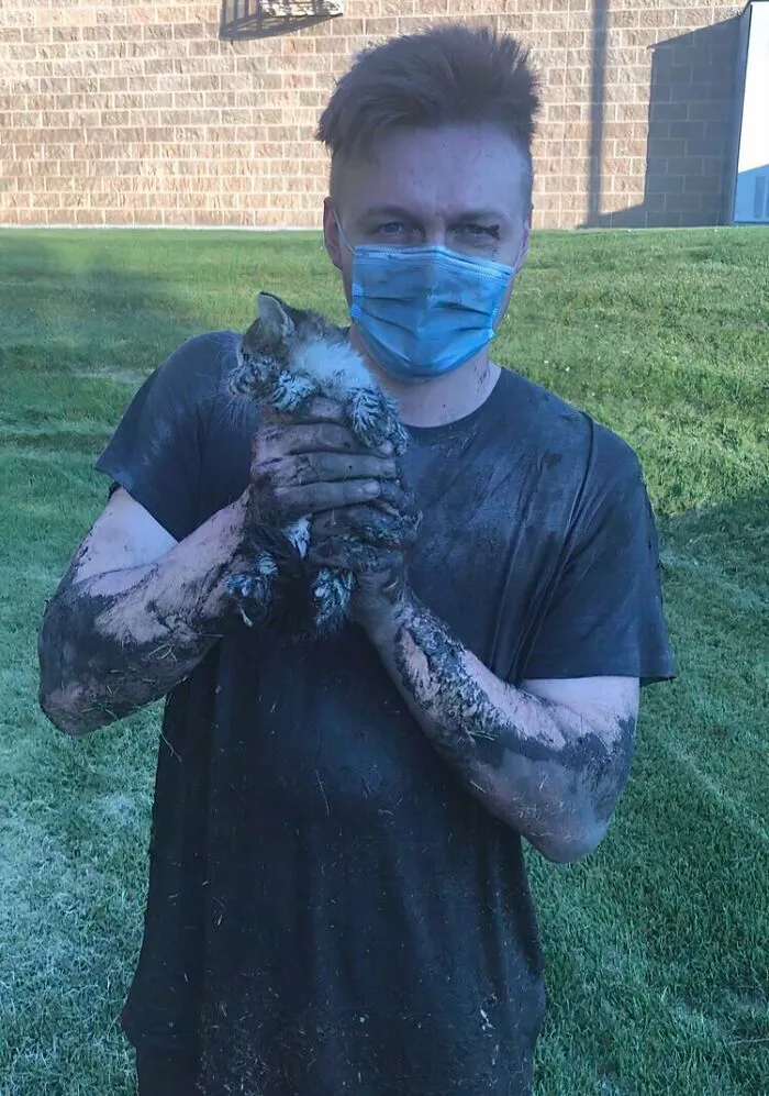 Managed To Rescue This Little Kitten From The Sewers. I’ll Be Keeping Him