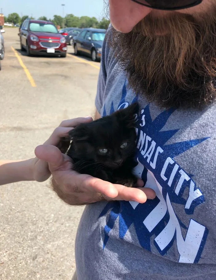 We Saved This Little Fella In The Mall Parking Lot. Was Super Tough To Catch, But Once He Got Into My Hand He Chilled Out Immediately