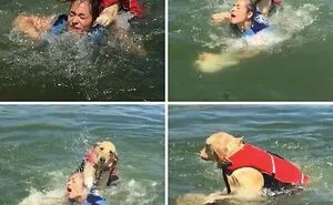 47 Photos That Show The Exact Second Regret Kicked In