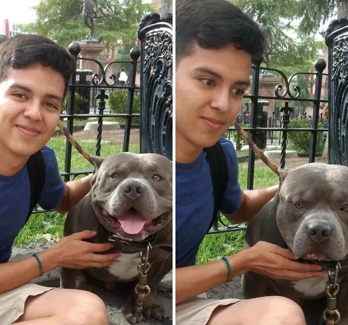 ¿Puedo acariciarlo? -Claro, es amigable- (El perro empieza a gruñir en mitad de la foto)