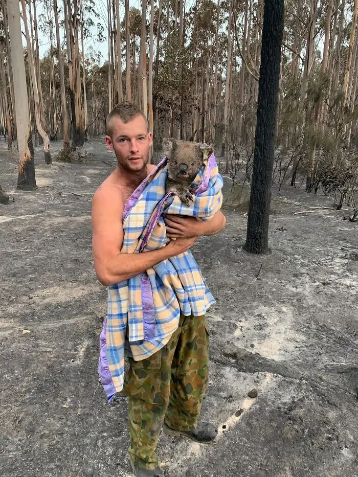 This Is Patrick Boyle. Since The Fire Has Passed Through Mallacoota This Amazing, Selfless Young Guy Has Been Out Searching For Injured Wildlife