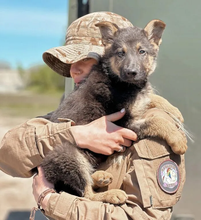 A Ukrainian Soldier With A Puppy She Rescued