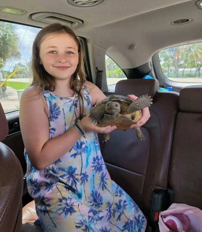Young girl holding a rescued tortoise inside a car, showcasing animals saved from awful conditions given a second chance.