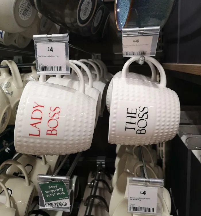 The Two Genders, Lady And The