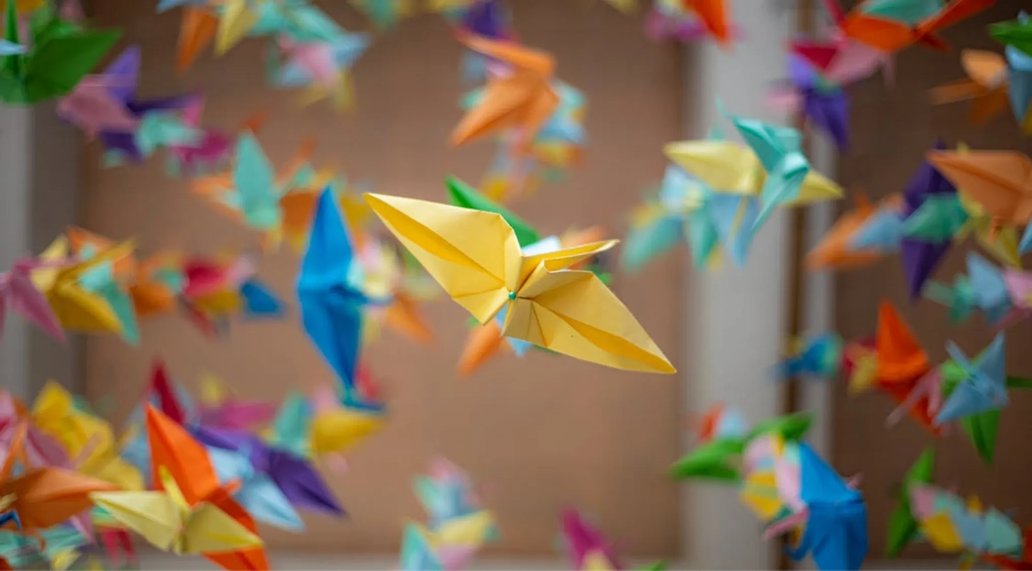 Colorful origami birds made from paper, illustrating the art of paper folding in a creative display.