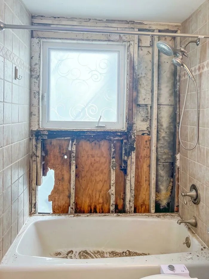 Mold Found In My House I Just Bought. No Wonder We’ve Been Coughing
