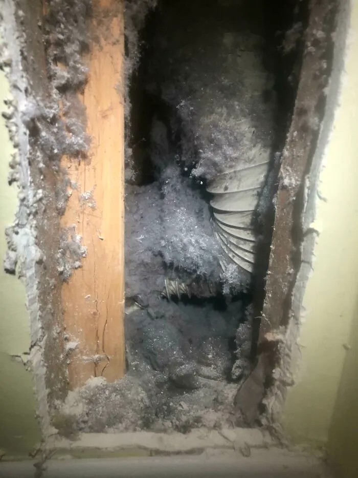 I Bought My First House 2 Months Ago. I Realized Today That The Hose Of My Dryer Is Connected To Nothing