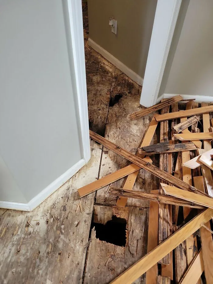 Found Out Entire Subfloor Downstairs Is Rotted