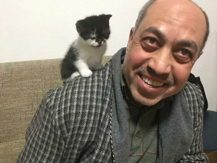 "Los gatos no sirven para nada. Sin duda, la peor mascota que podríamos tener".