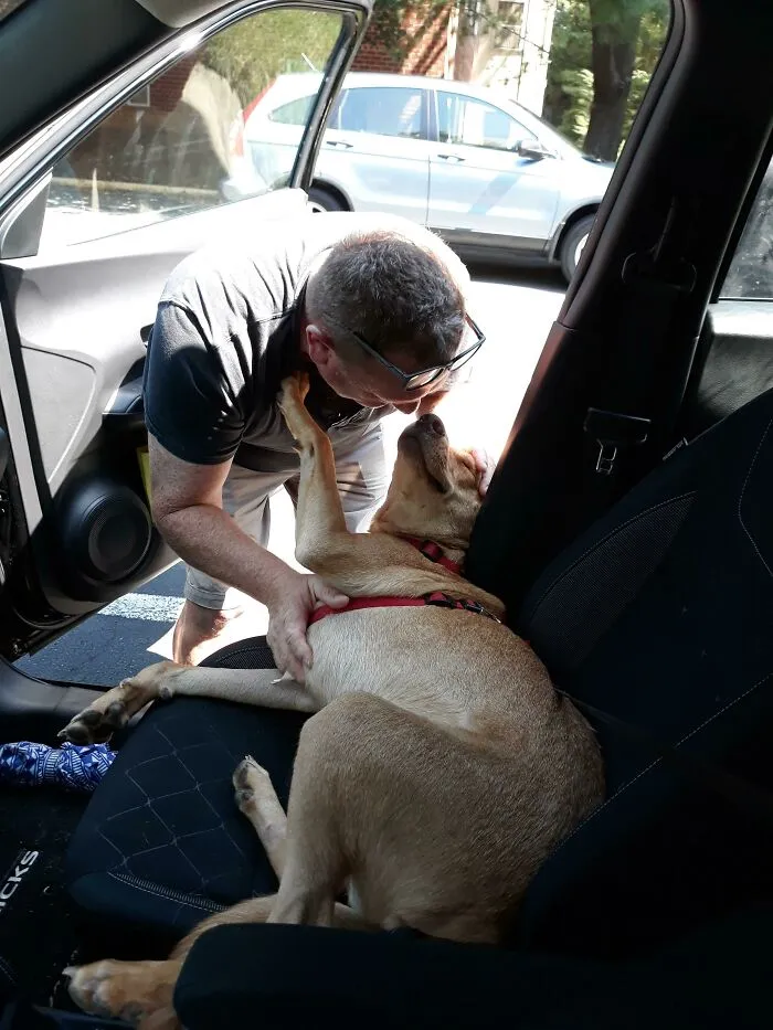"Ese perro marrón" se convirtió en "Perro marrón", que se convirtió en "Sr. Marrón", que se convirtió en "El doctor Marrón quiere quedarse conmigo cuando te mudes"